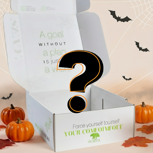 mystery_box_thegreenbear